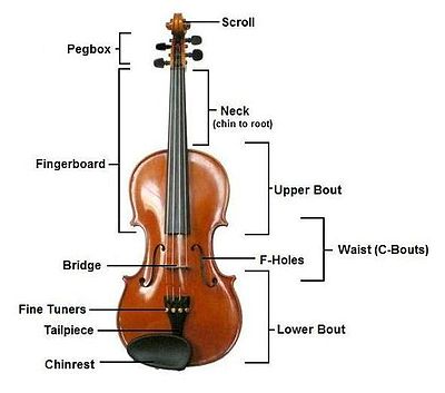 about-violin-western-music-instrument